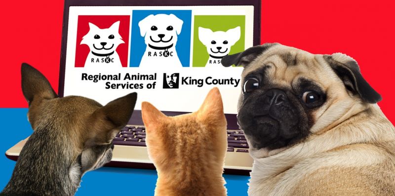 Regional Animal Services of King County